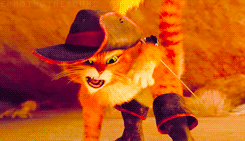 real life puss in boots gif