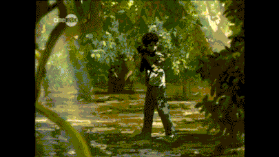 Waltz with bashir animation film GIF - Find on GIFER