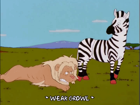 Animated GIF episode 5, season 14, free download 14x05, zebra, simpsons. 