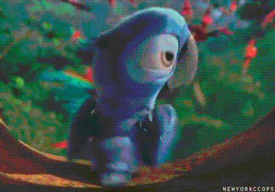 Image result for rio movie gif