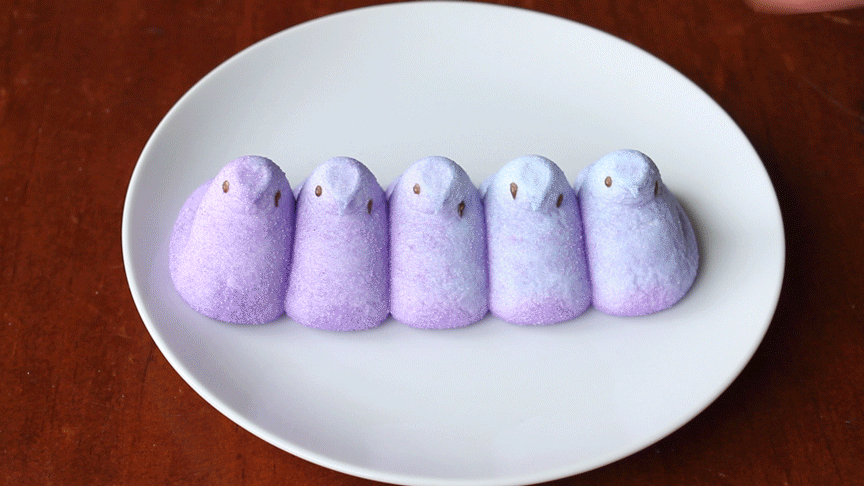 Food Day Animations Gif Find On Gifer Food Day Animations Gif Find On Gifer