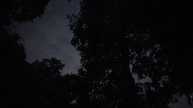 Night cinemagraph windy GIF - Find on GIFER