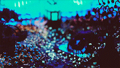 Features GIF - Find on GIFER