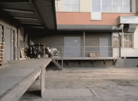 NYo9.gif