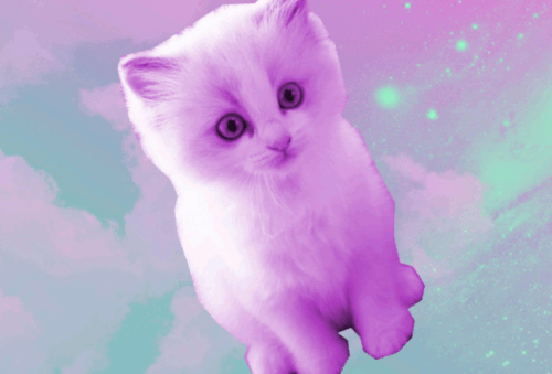 tumblr pastel grunge cats