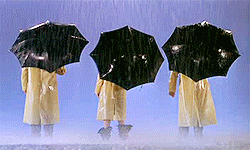 Singing in the rain film GIF - Find on GIFER