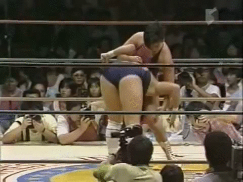 Jaguar yokota GIF - Find on GIFER