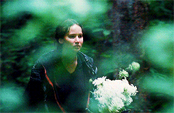 The Hunger Games' Gifs - Hunger Games photo (33036927) - fanpop