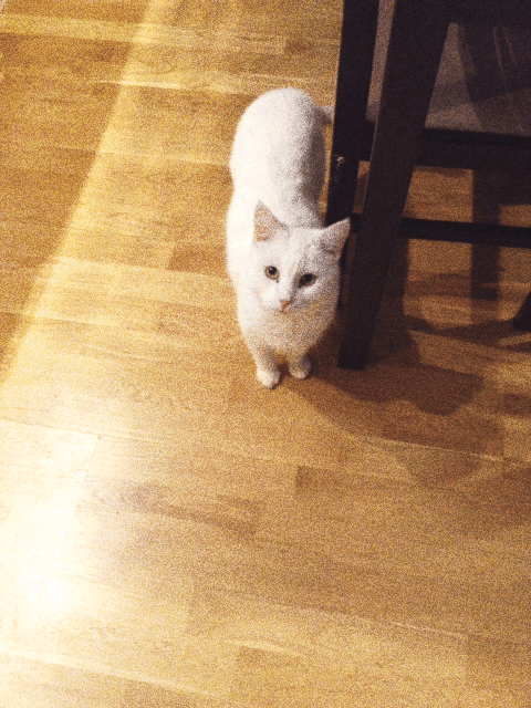 Phhhoto GIF - Find on GIFER