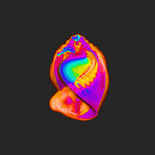 Mp4 d gif. Авка gif 3d. З D гиф анимация. Всякие гифки 3 д. Лолибору 3д 3d gif.