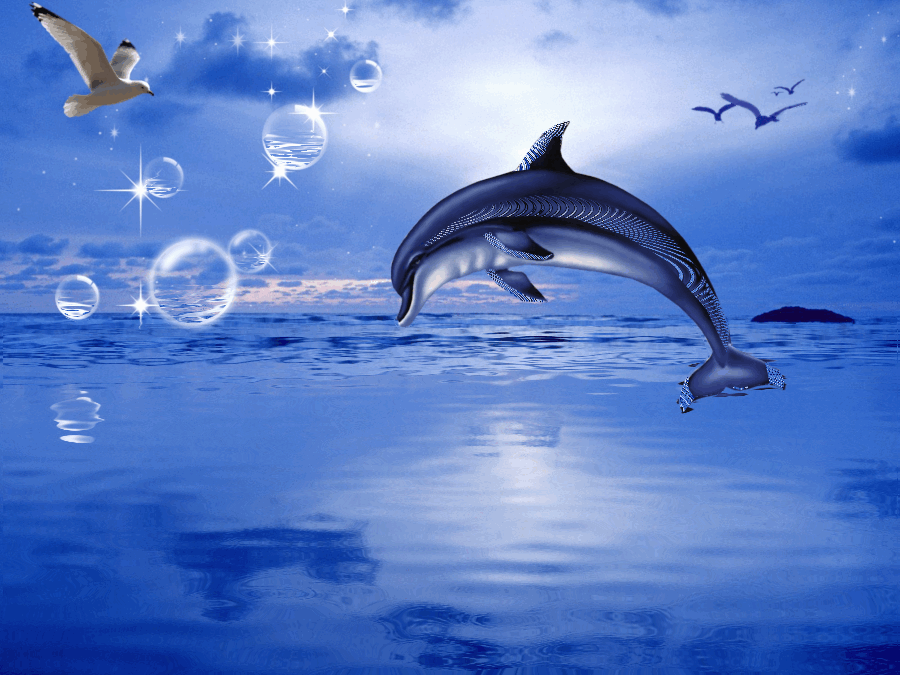 Живое море на телефон. Дельфины в море. Живые дельфины в море. Анимационные дельфины. Дельфин на заставку.