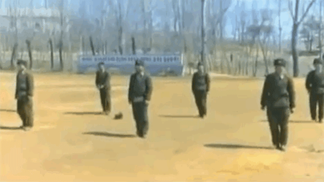 Дождь, гифка армия россии