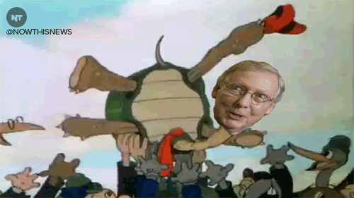 Image result for mitch mcconnell turtle gif