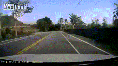 Scooter GIF - Buscar en GIFER