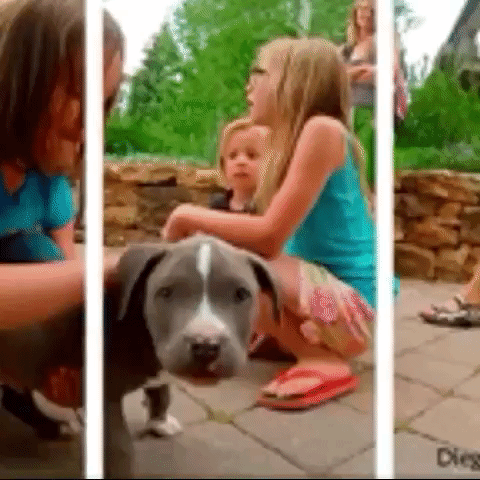 Katey greene (dead rising). We work only 4 premium users. Планшет для рисования светом детский. Дрожь гифка. Маленькая сестричка.