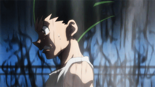 Hunterxhunter GIFs - Get the best GIF on GIPHY