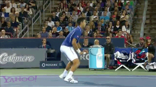 GIF angry cat life - animated GIF on GIFER - by Nadal