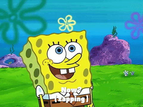 muzon-gubka-bob