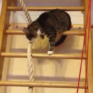 https://i.gifer.com/OHqn.gif