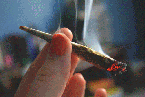 Курит марихуану и скрывает легализация марихуаны в россии петиция