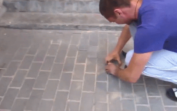 Гифка дерек хейлс гиф картинка, скачать gif на GIFER