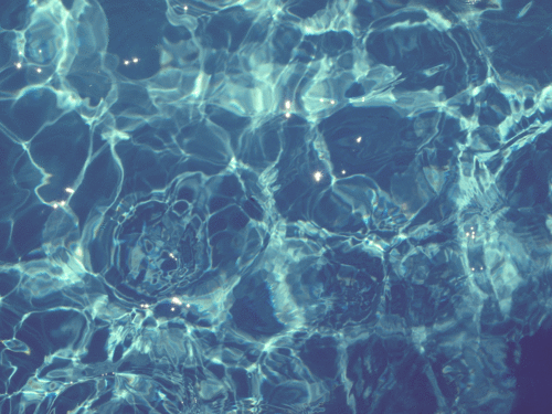 OP9C.gif
