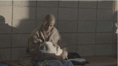 Homeless GIF - Find on GIFER