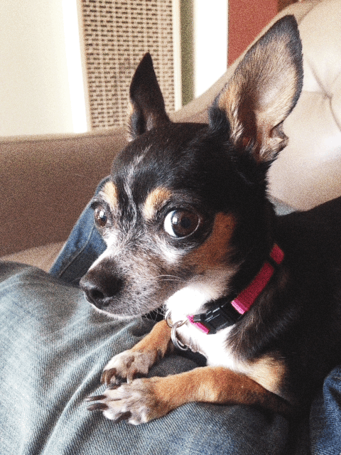 GIF phhhoto - animated GIF on GIFER