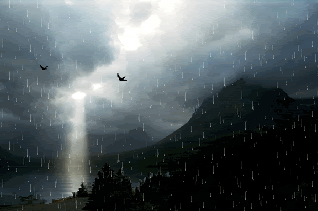 Software Developer Banner