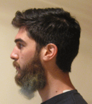 Bart barba GIF - Encontrar en GIFER