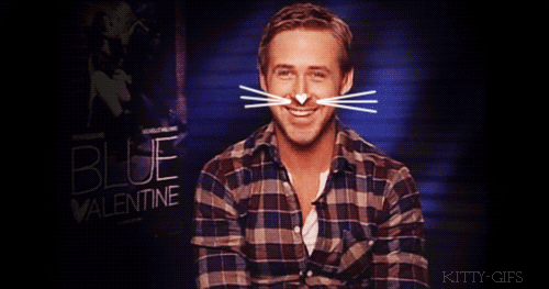 Ryan gosling kitty s GIF.