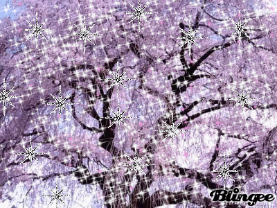 Explore blossom tree GIFs