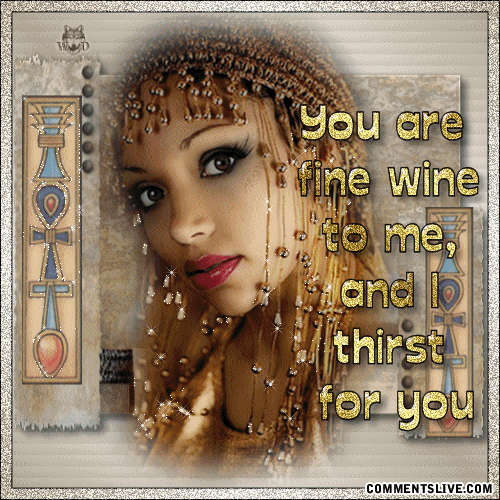 Wine GIF Find on GIFER