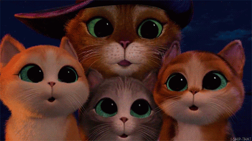Shrek de gato GIF - Download & Compartilhe em PHONEKY