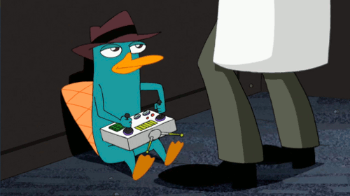 photo Dancing Perry The Platypus Gif platypus gif find on gifer