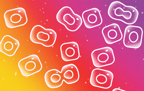 GIF instagram cells growth - animated GIF on GIFER