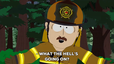 Fireman Questioning Trees questioning GIF on GIFER - by Vile