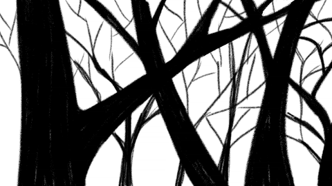 Gif 2d Tvpaint Silhouette Animated Gif On Gifer By Meztimuro