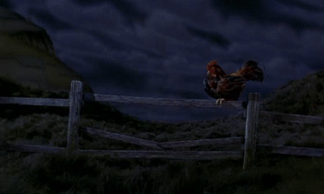GIF 1996 james and the giant peach - animated GIF on GIFER