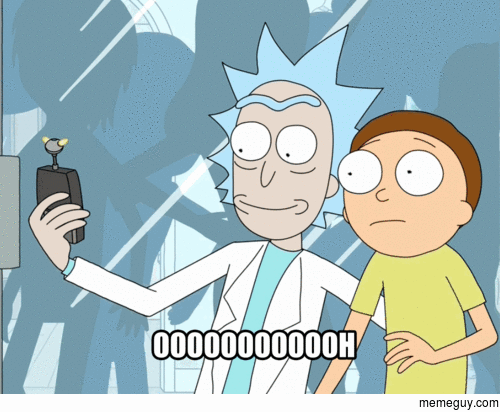 rick-and-morty-meme-mrw-gif-find-on-gifer
