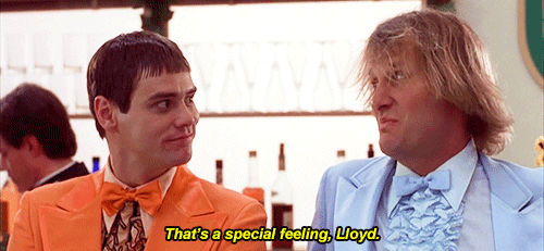 GIF dumb and dumber - animated GIF on GIFER