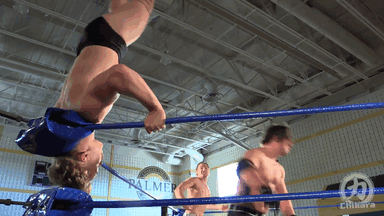 King Of Trios Nick Jackson Chikara Gif Find On Gifer