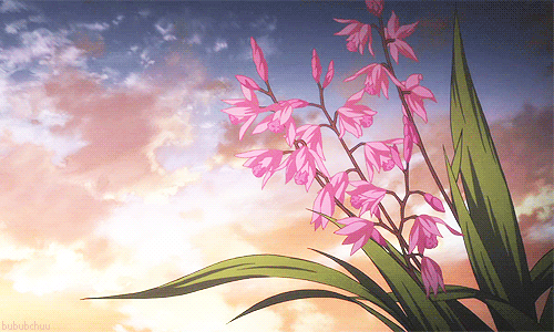 Flower Anime Gif