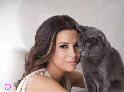 Eva longoria GIF - Find on GIFER