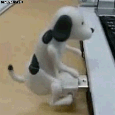 Hump humping usb GIF on GIFER - by Fekelv