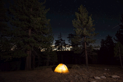 Camping Gif Find On Gifer
