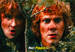 The lord of the rings our merry GIF - Find on GIFER