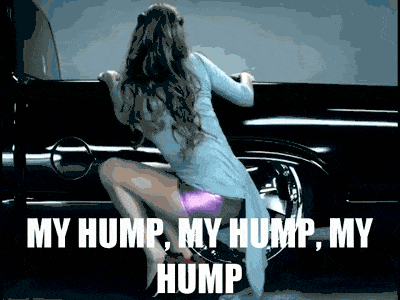 On this animated GIF: hump Dimensions: 400x300 px Download GIF or share You...