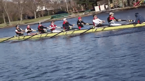Rowing crew harvard GIF on GIFER - by Fenrik