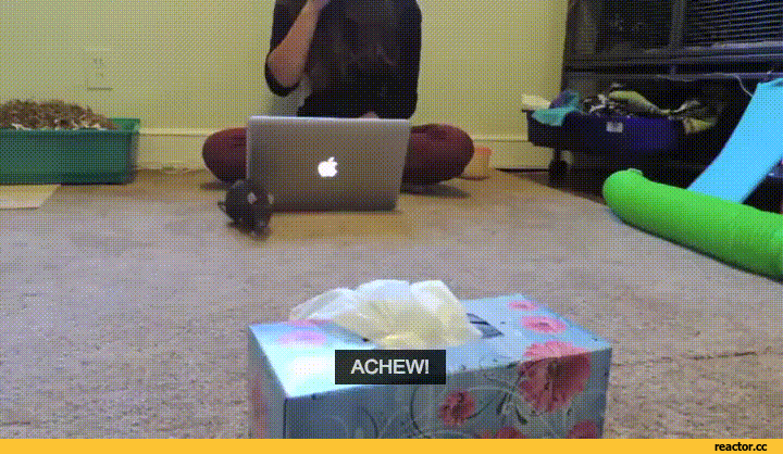 Rat GIF - Find & Download on GIFER Rat GIF - Find & Download on GIFER